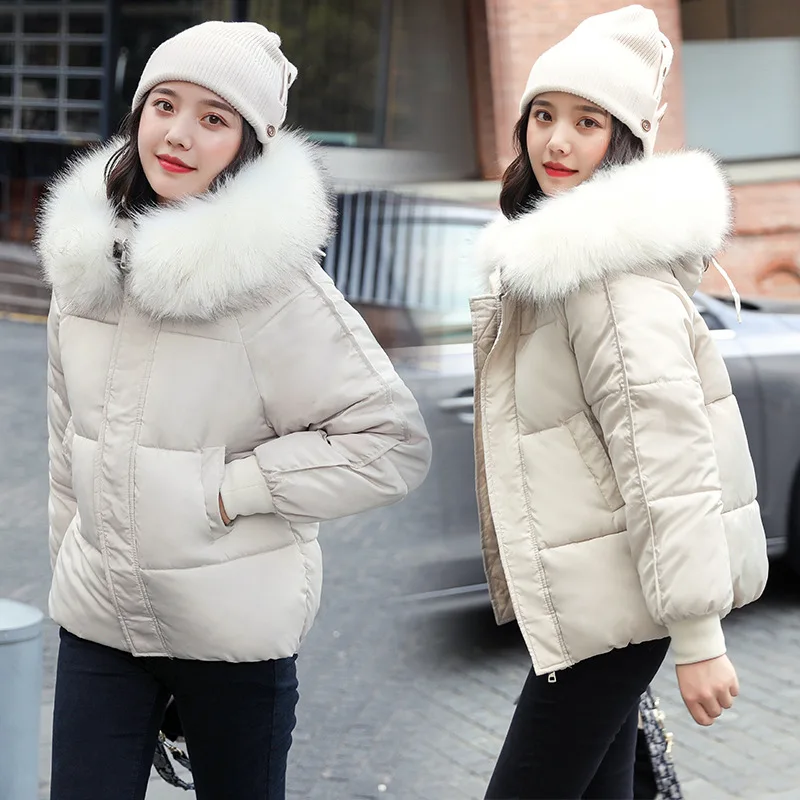 Cropped Demi-season Down Jacket Women Winter Quilted Coat Spring Parka Fluffy New In Outerwear Shirts and Blouses  2023 enlarge