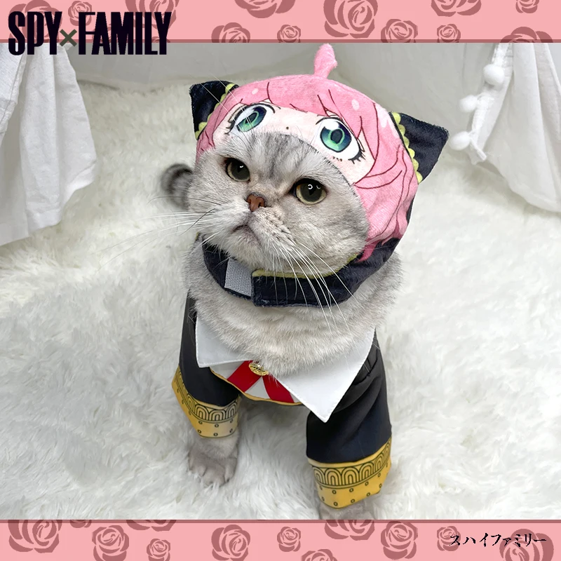 

Anime SPY×FAMILY Anya Forger Cartoon Little Cat Clothes Hat Coat Cosplay Costume Take Photo Props Dog Pet Supplies Accessories