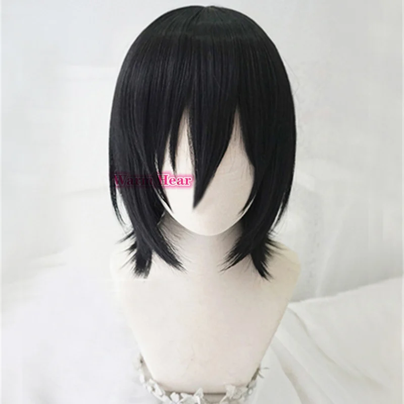 

Anime Attack on Titan Mikasa Ackerman Cosplay Wig Black Short Wig Shingeki No Kyojin Synthetic Hair a wig cap