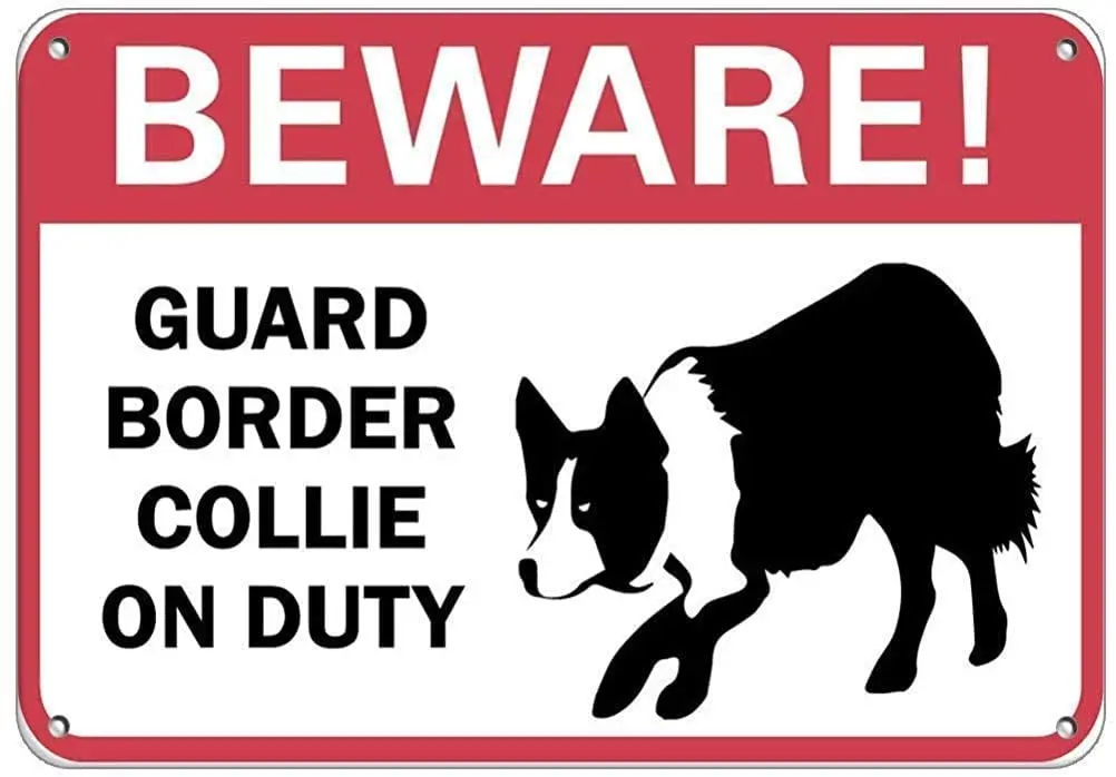 Лаоцзи дибиор Остерегайтесь! Guard Border Collie On Duty Vintage Оловянная металлическая