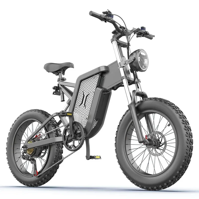 OEM завод серый аккумулятор съемный 48 В литиевый полная подвеска EKX X20