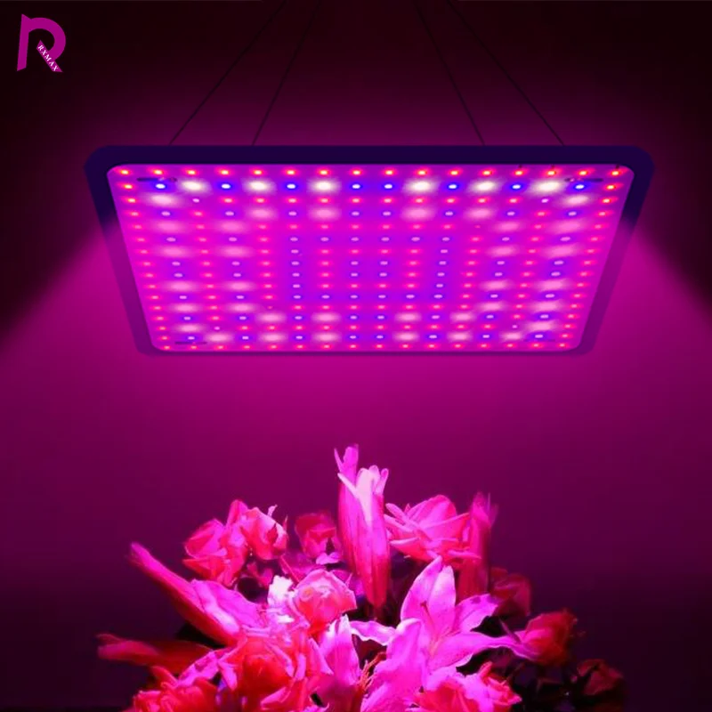 Full Spectrum LED Grow Light 1000W AC110V 220V Phyto Lamp With On/Off Switch For Greenhouse Hydroponic Plant Growth Lighting