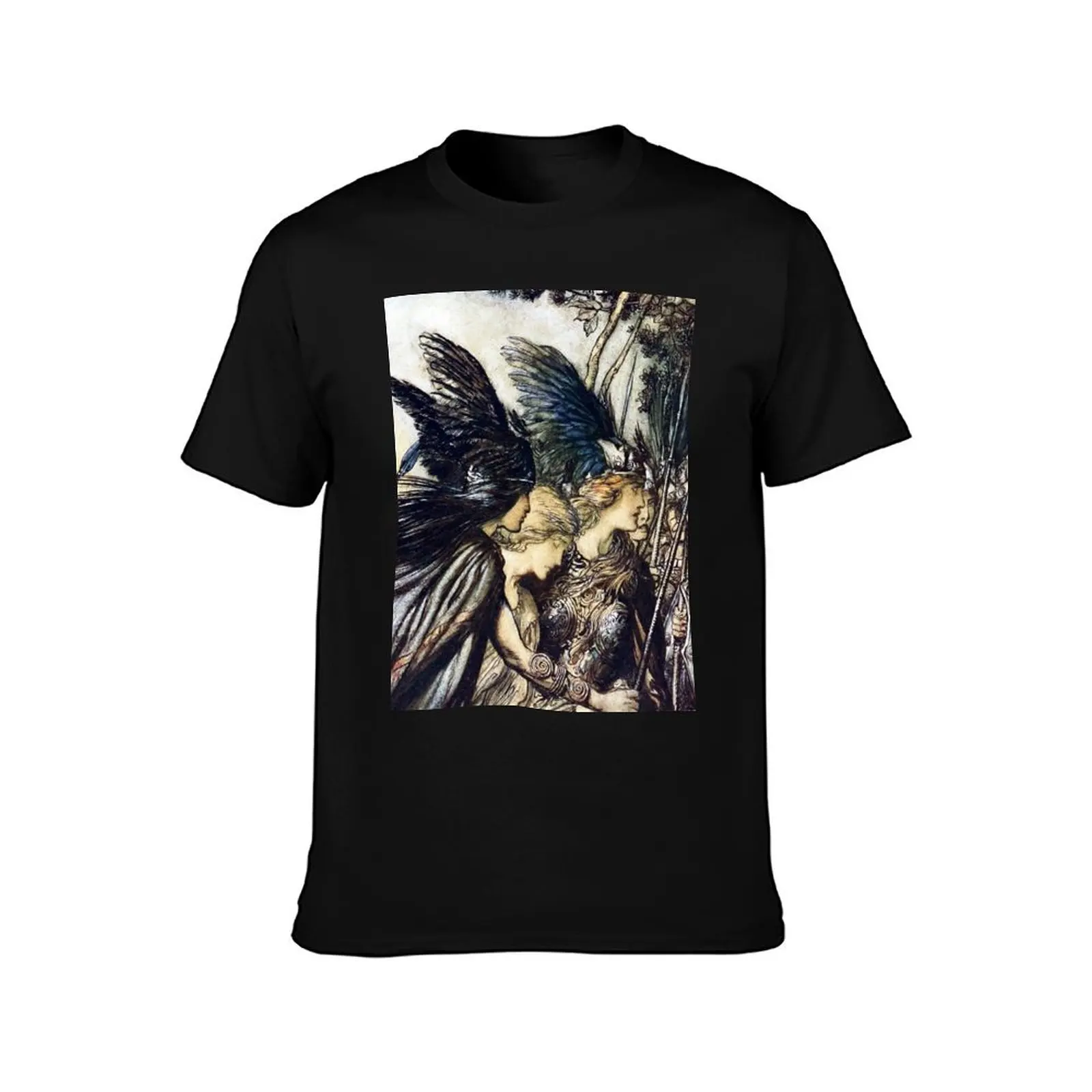 The Valkyries - Arthur Rackham Ring of the Nibelungen Футболка больших размеров с графическим рисунком