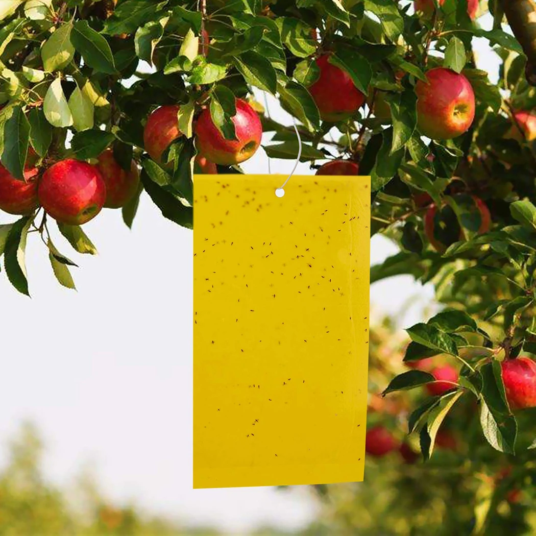 Клейкие ловушки для теплиц клейкая доска с насекомыми несколькими летающими