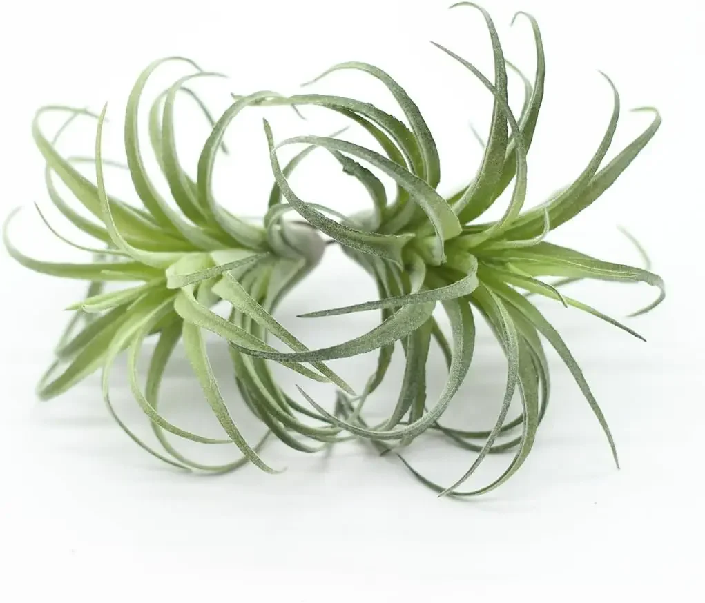 

2PCS Artificial Flocking Tillandsia Air Plants Faux Succulents Bromeliads(Small)