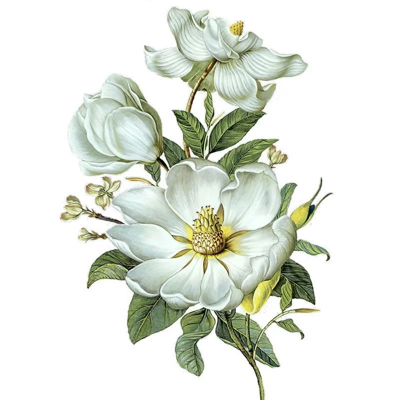Наклейка с рисунком пиона и азалии букет высокой четкости Рододендерн Simsii