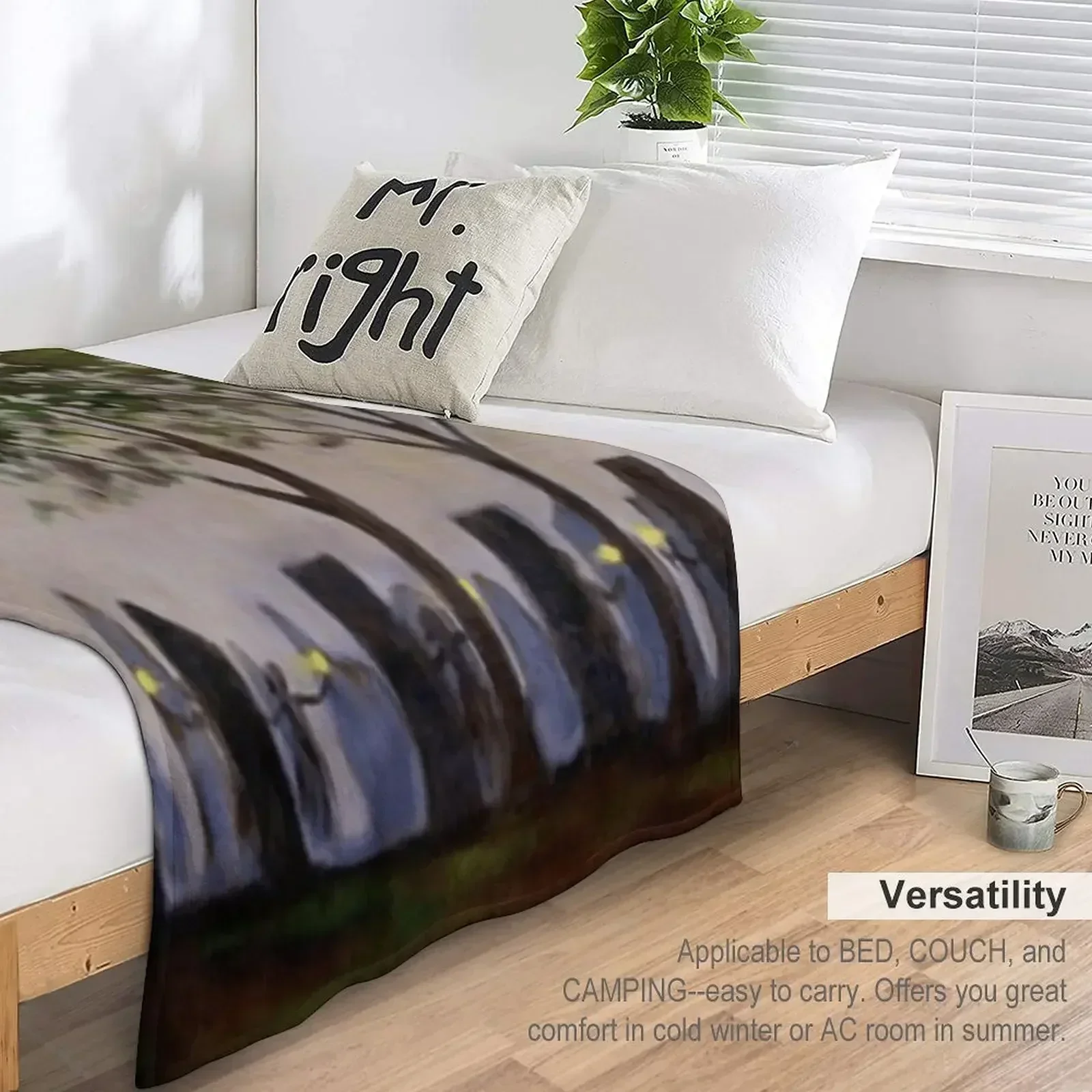 Одеяло Craigh na Dun одиночный пикник гигантский диван красивые одеяла