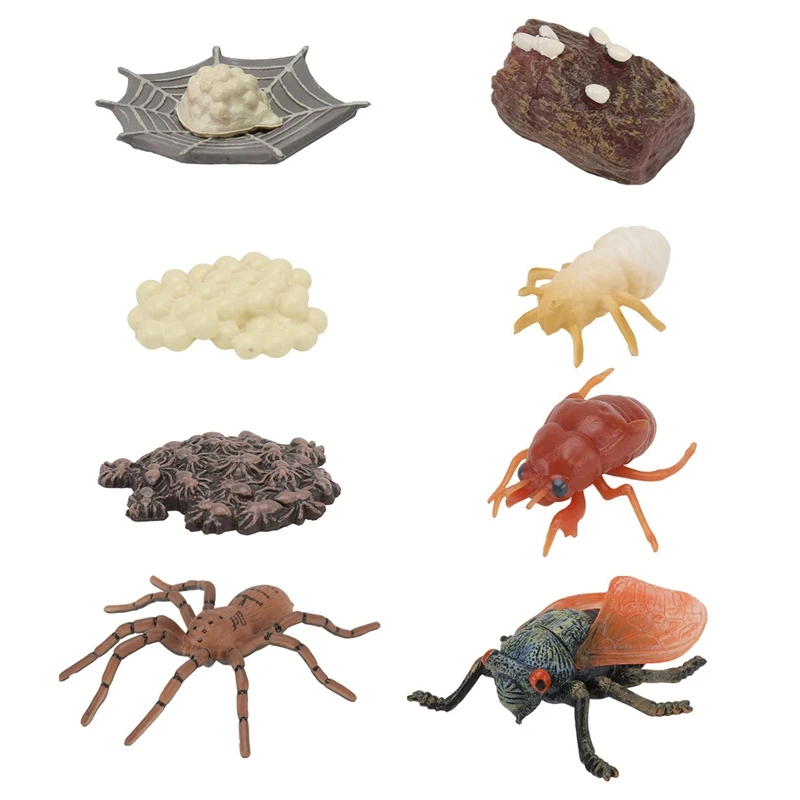 

Hot Sale 8 Pcs Simulated Plastic Animal Models Insect Growth Cycle Spider Cicada Growth Science Cognition Educational Toys