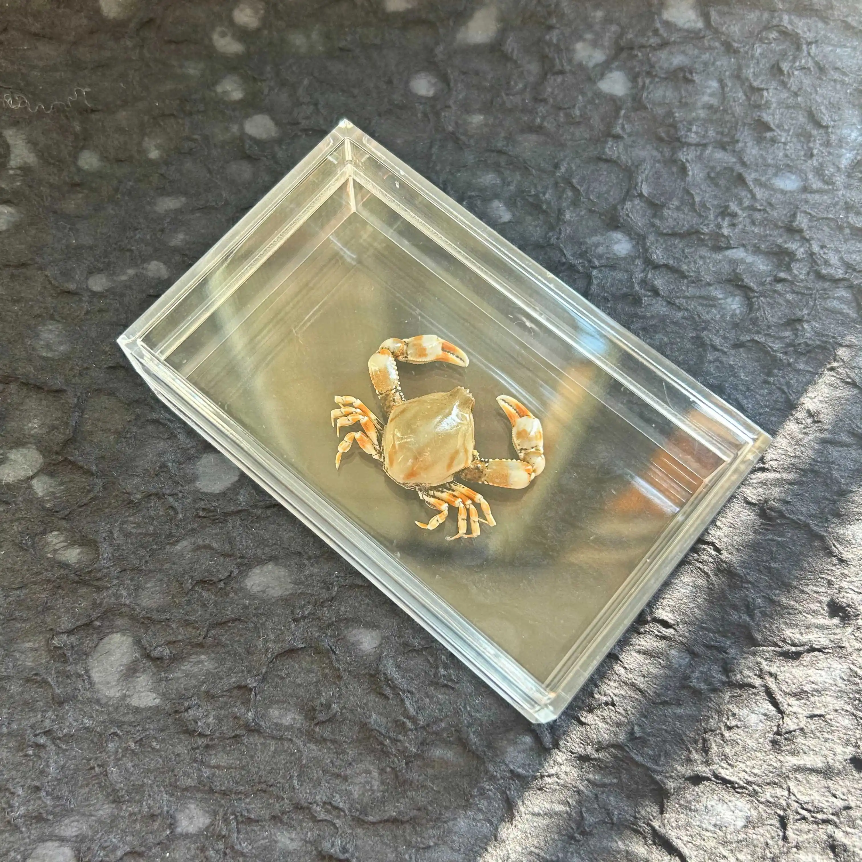 

Фоторамка с образцом нефритового краба