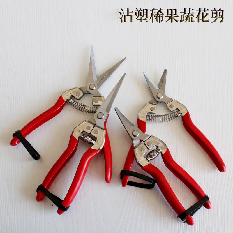 

Garden and gardening tools trimming scissors stainless steel dipped red steel handle thin flower thinning fruit scissors tilted