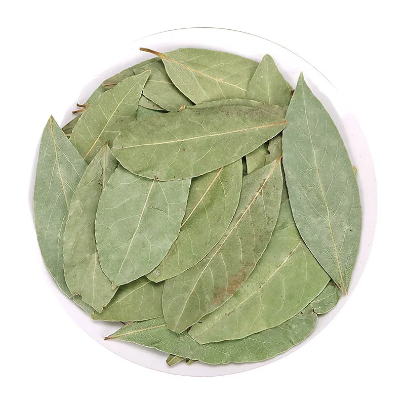 

Xiang Yue Gui Ye Spices Bay Leaves Myrcia Folium Laurus Nobilis.