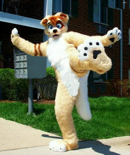 Хаски собака талисман костюм пушистый длинный бежевый мех лисы ролевые игры