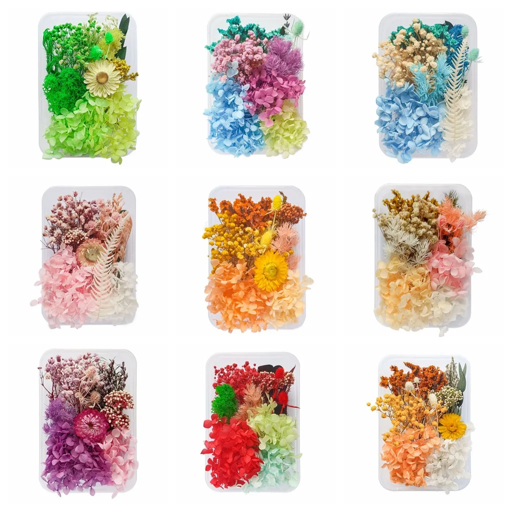 

Natural Dried Flowers Box Set,Multiple Types Flowers Theme Decoration,DIY Wedding Bouquets Centerpieces & Floral Arrangements