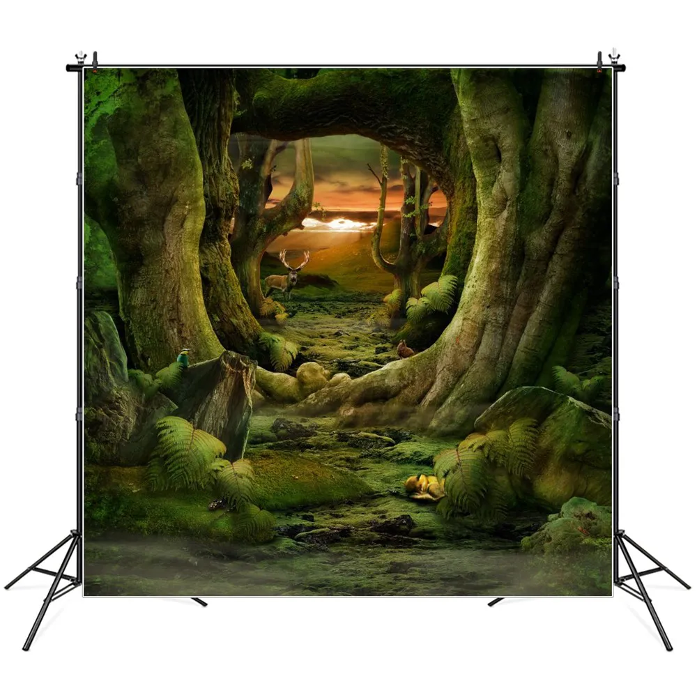 

Wonderland Jungle Forest Tree Pathway Photography Backdrops Custom Baby Party Decoration Photo Booth Photographic Backgrounds