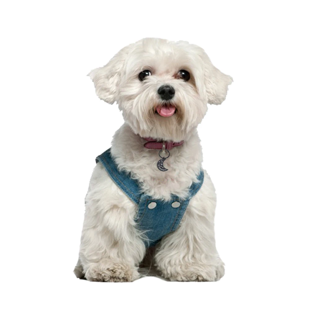 personalized collar pet id tag engraved pet id name phone number for cat puppy dog tag pendant keyring moon pet accessories free global shipping