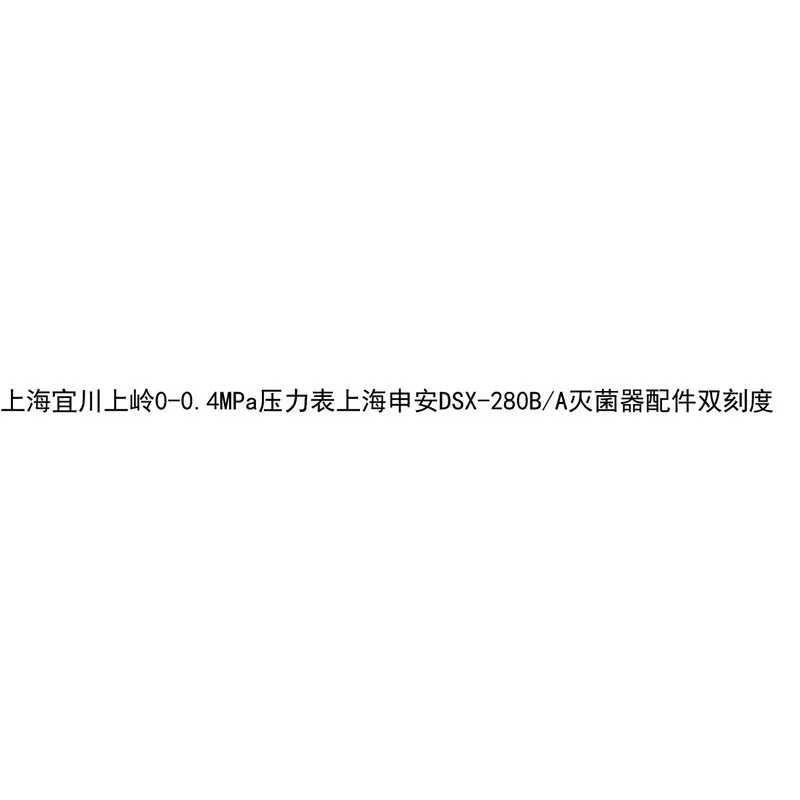 Фото Подходит для манометра Shanghai Yichuan Shangling 0-0,4 МПа, аксессуаров для стерилизатора Shanghai Shenan DSX-280B/A, двойная шкала. №3