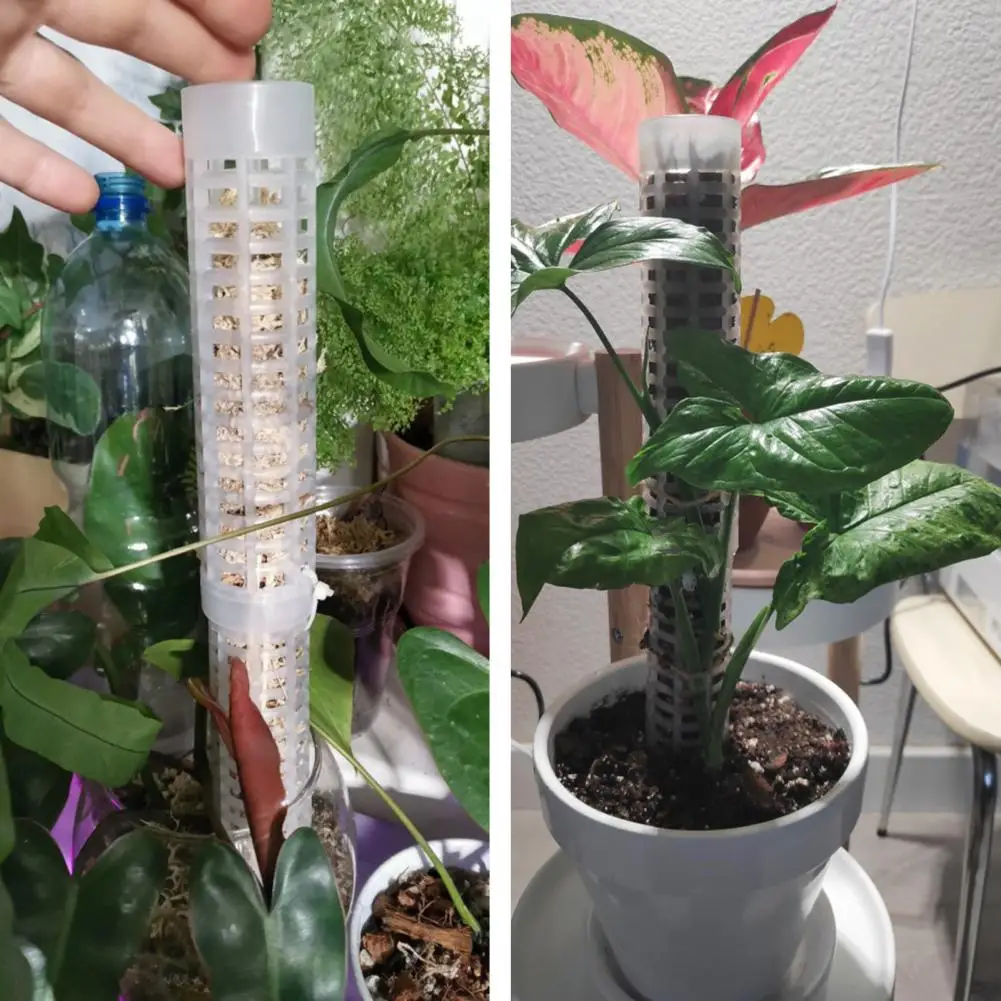 

1 Set Plant Moss Pole Good Long Lasting Wide Application for Household Plant Moss Stick Plant Support Frame