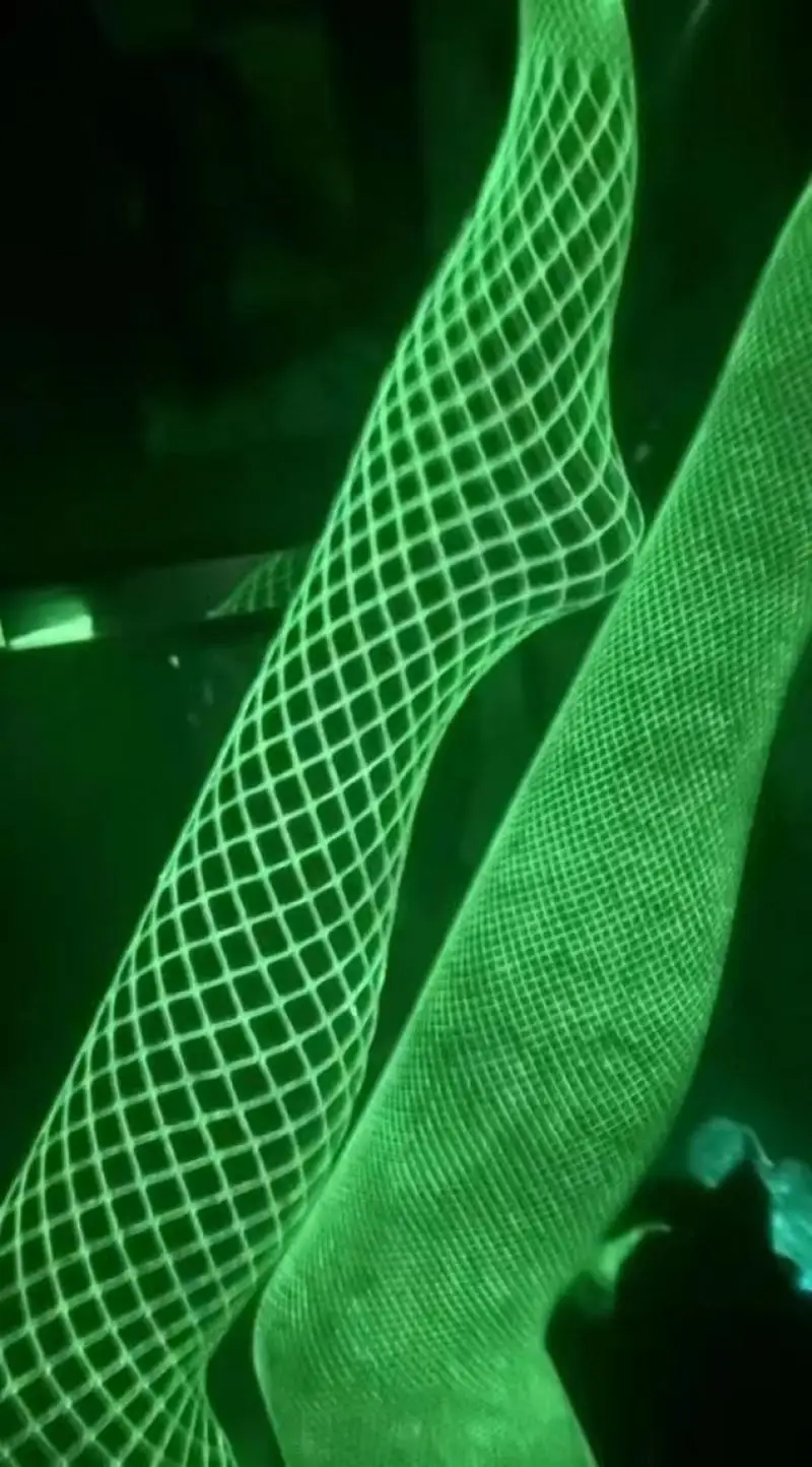 Luminous Glowing Fishnet Socks Glow In The Dark Fishnet Stockings Leggings for Women Luminous Stockings Tights High Waist