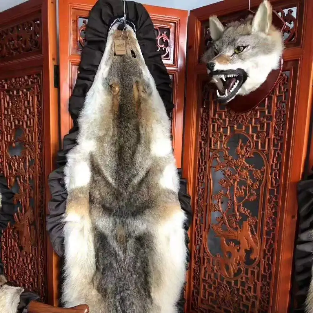 

Home Simulation Animal Model Wolf Head Real Hair Specimen Wall Decoration Featured Handicrafts Wall-mounted