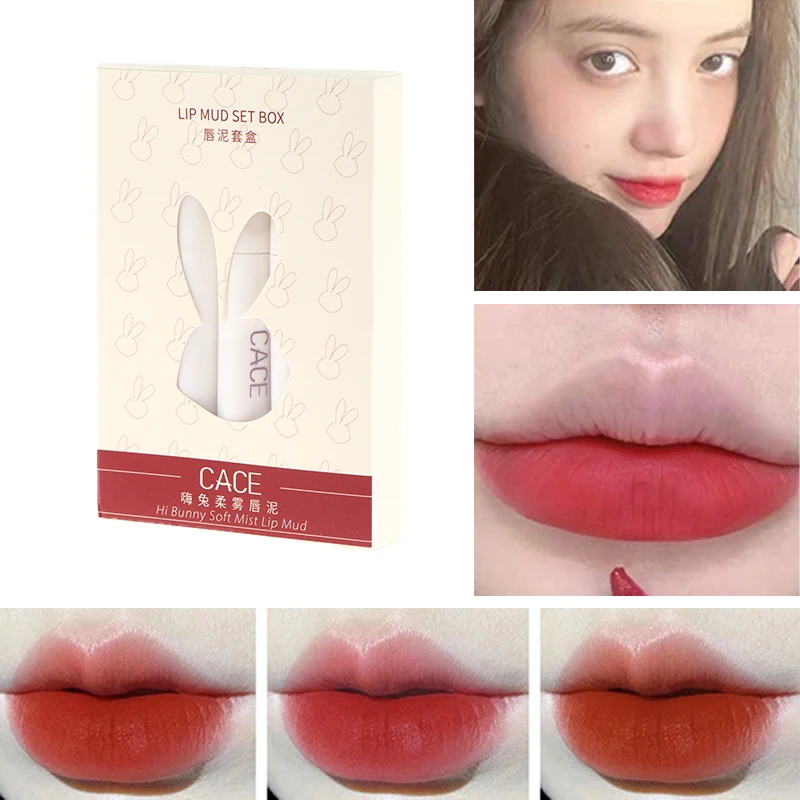 

5Pcs Lip Gloss Set Matte Red Tint for Lips Makeup Long Lasting Velvet Lip Glaze Waterproof Lipstick Kit Cosmetic