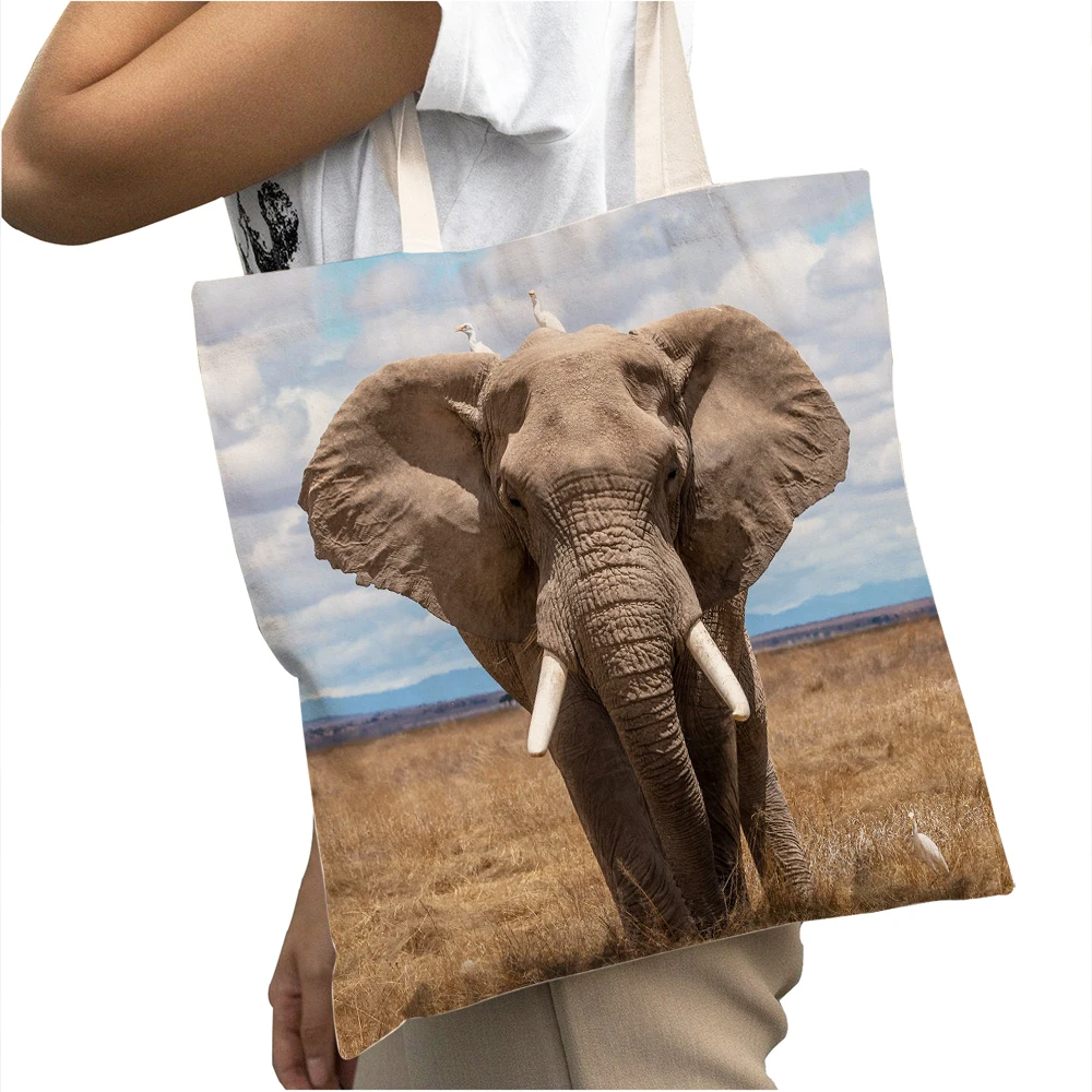 

Холщовые сумки для покупок с Африканским слоном, женская сумка, Повседневная Большая вместительная сумка-шоппер с двойным принтом диких животных для женщин