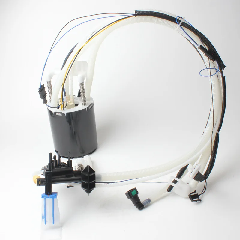 LR015178 LR015179 WGS500140