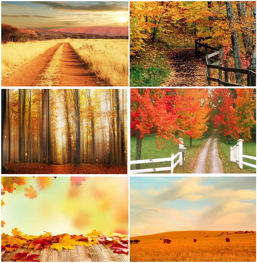 

Wooden Boards Fall Autumn Backgrounds Photographic Forest Leaves Natural Scenery Portrait Marple Backdrops Photozone Banner