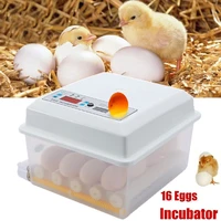 16 egg automatic incubator brooder 110v220v dc12v digital mini brooder machine with turner hatcher chicken incubation equipment