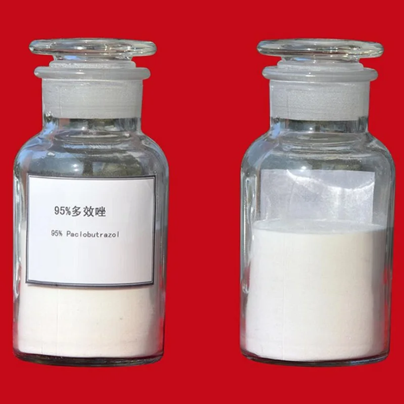

Паклобутразол 95% TC /PP333, 1 кг