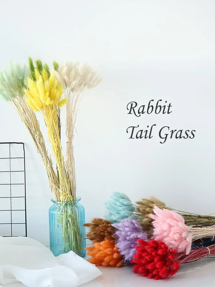 50pcs/Bunch Natural Rabbit Tail Grass Bunny Tails Dried Flowers Bouquets Plant Stems Material Colorful Pastoral Style Home Decor
