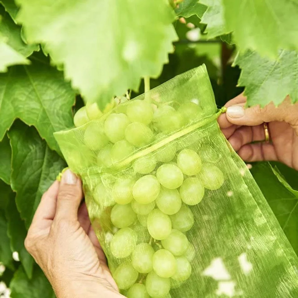 

10-50pcs Strawberry Grapes Fruit Grow Bags Netting Mesh Vegetable Plant Protection Bags For Pest Control Anti-Bird Garden Tools