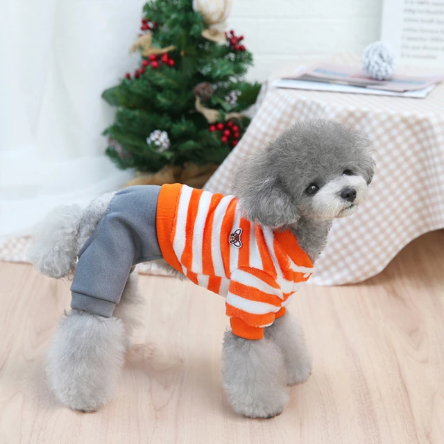 pomeranian clothes
