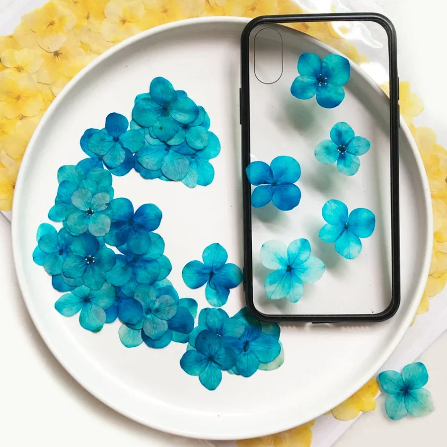 60X прессованный высушенный впитываемая Гортензия крупнолистная Цветочные