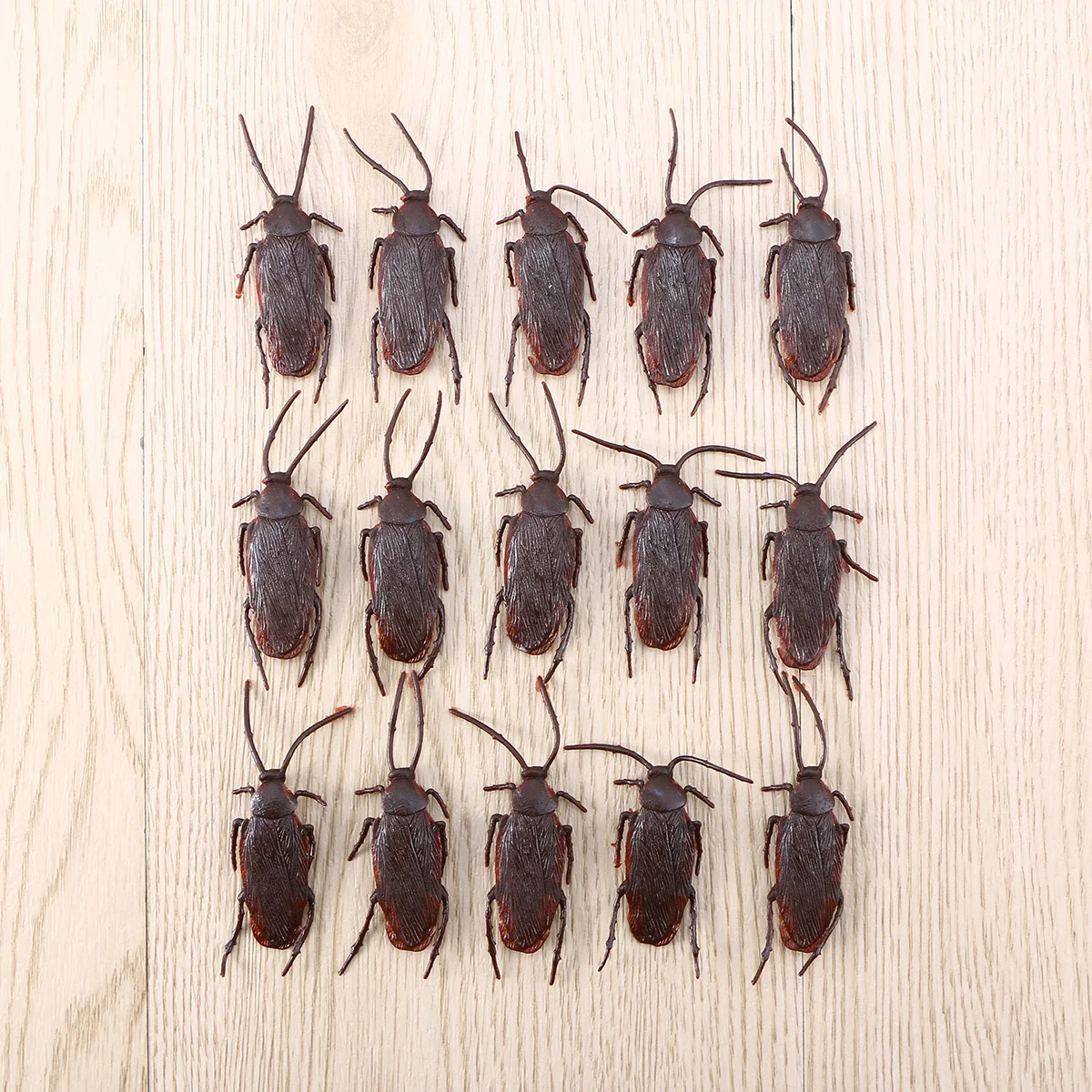 

Roaches Cockroachs Cockroaches Moving Bug Vintage Mock