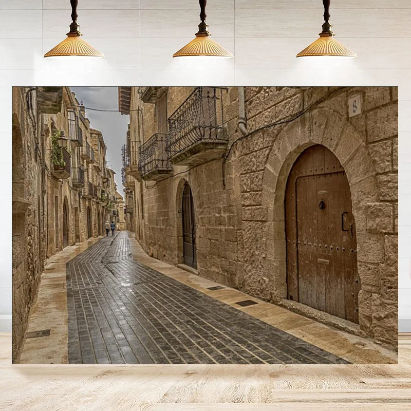 

Фон для фотосъемки с изображением узкой улицы, старых тостов, камень, весенние цветы, солнечный свет, баннер для старинной стены, пещера, плакат