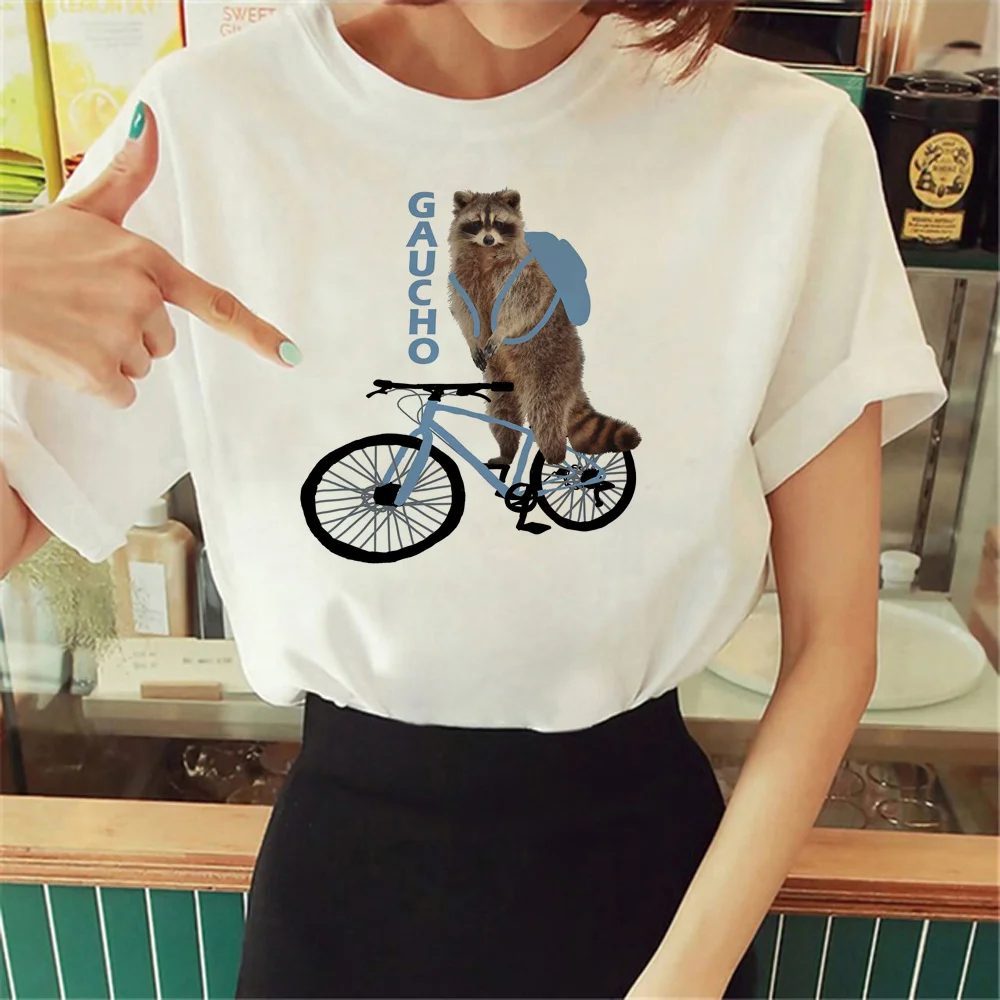 

Racoon