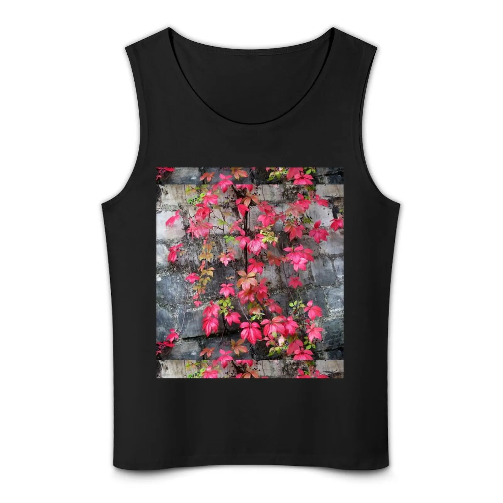 Paris Pere LaChaise Fall Leaves Майка для спортзала Мужской жилет Мужская спортивная футболка