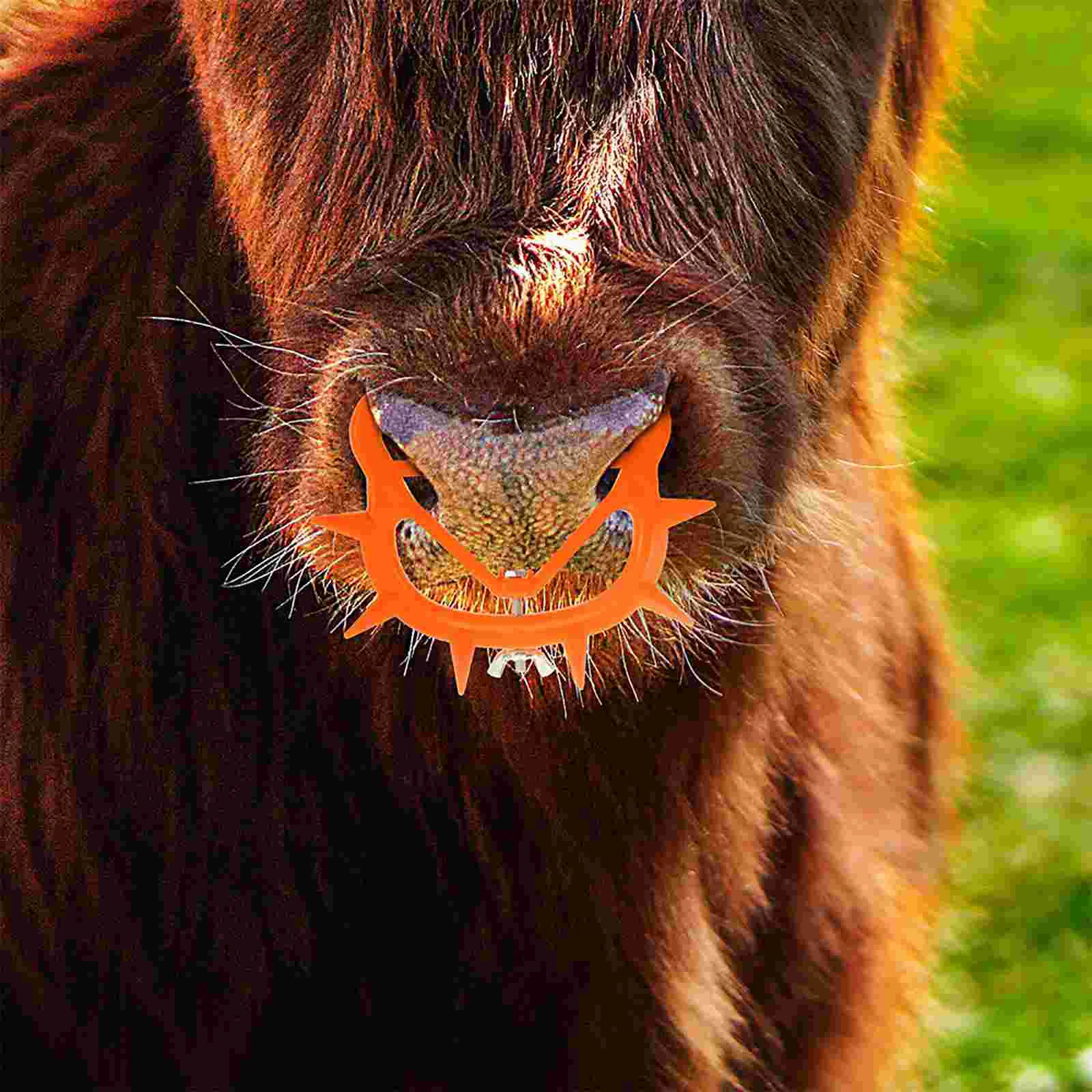 8 Pcs Bull Nose Ring Calf Accessories Cow Weaner Large Cattle Supplies Iron Farm Animal