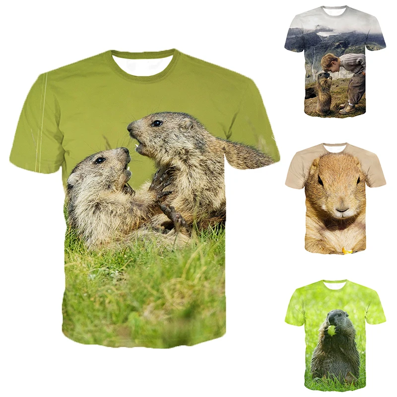 

Футболка с 3d принтом, футболка с изображением животного, Араша, уличная свободная индивидуальная футболка