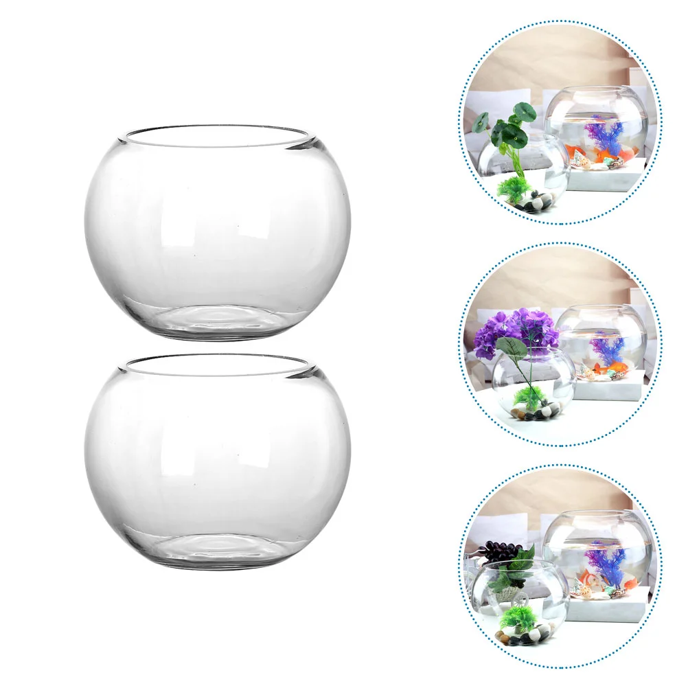 

2Pcs Moss Container Moss Ecological Terrarium for Home Desktop