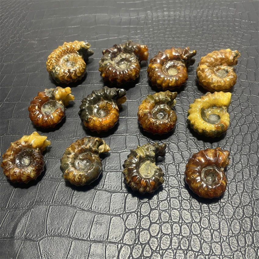 Натуральный кристаллический камень из козьего рога образец лечебных камней