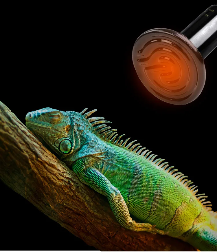 

Мини-керамическая лампа для рептилий, нагревательная лампа для восхождения домашних животных, керамическая лампа с дальним инфракрасным и...