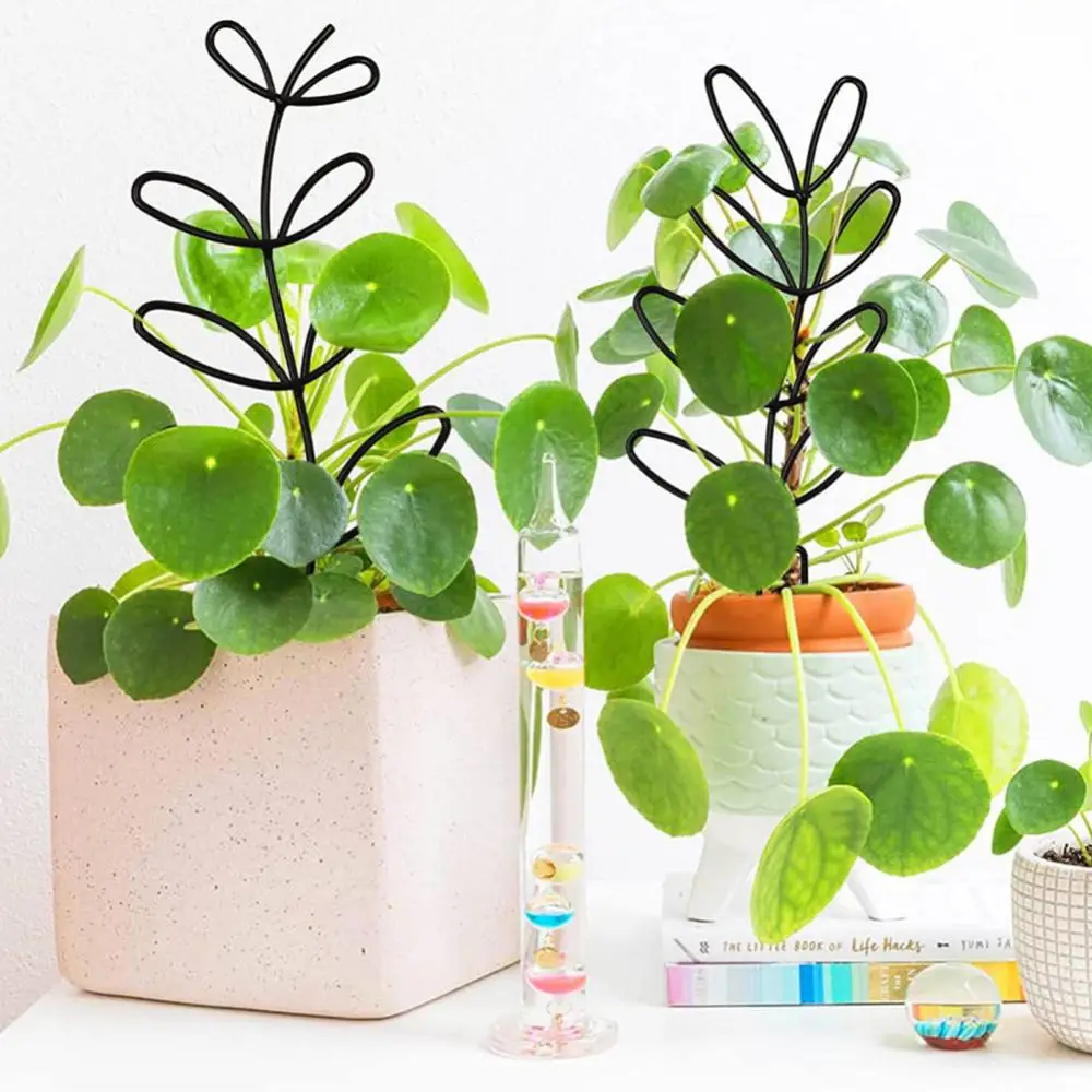 

Metal Trellis Plant Gold Trellis Plant Climbing Rack Metal Flower Garden Newest Garden Plant Support Stake For Potted Plants Hot