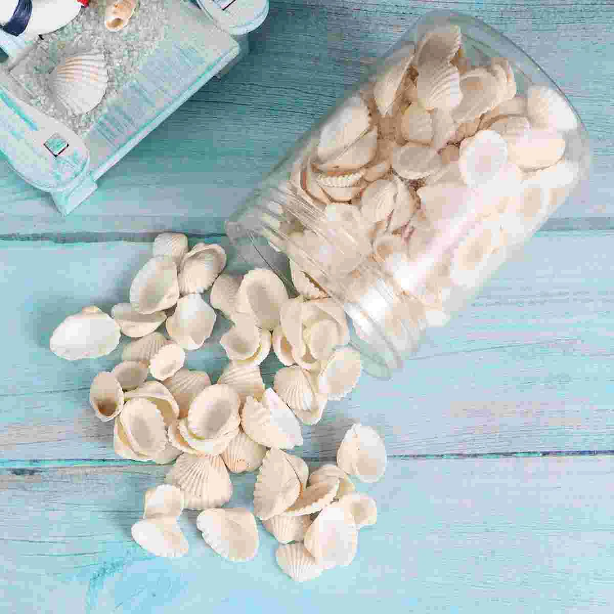 

Scallop Accessories Shell Jewelry Wedding Vases DIY Pendant Natural Ornaments Small Decor