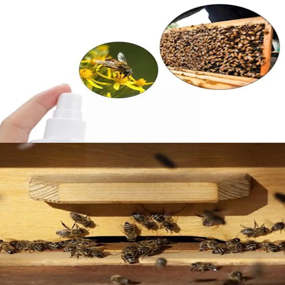 

60ml Swarm Commander Lure Bait Honey Bee Hive Beekeeping Trap Tool Pots Honey Y1m7