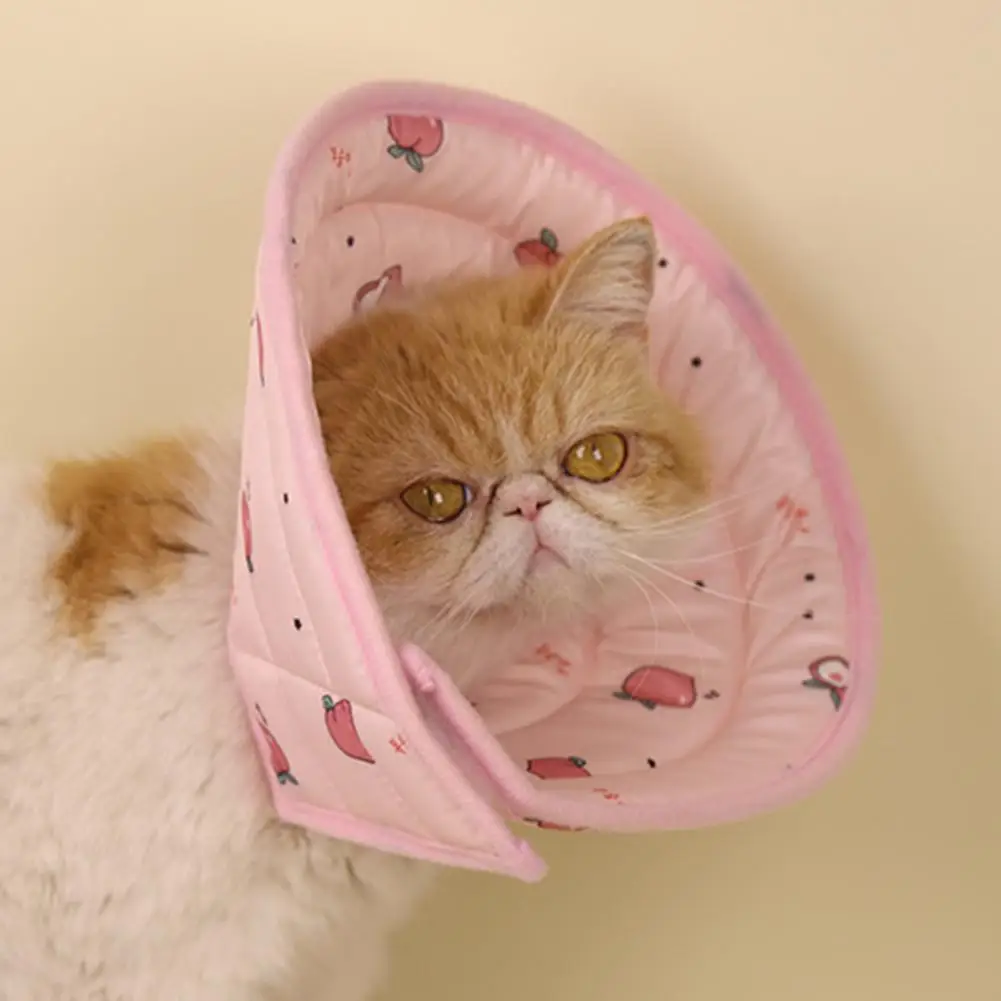 

Eco-friendly Cat Neck Cone Good Flexibility Comfortable Pet Recovery Neck Collar Wear-resistant Recovery Cone Pet Accessory
