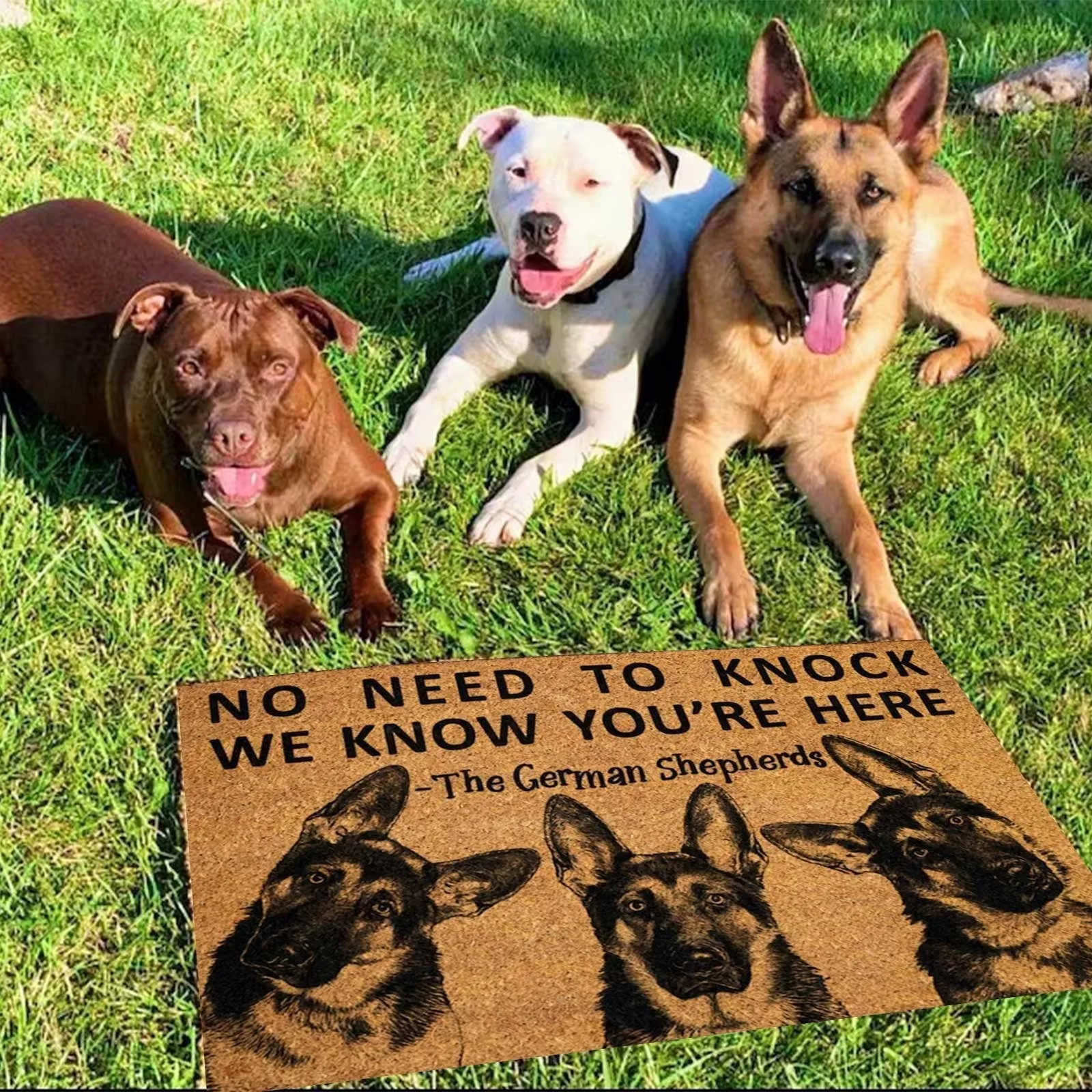 

40X60CM Funny Dog Doormat Diatomooze Dog Welcome Doormat Welcome Rug Home Kitchen Doormat Bedroom Doormat