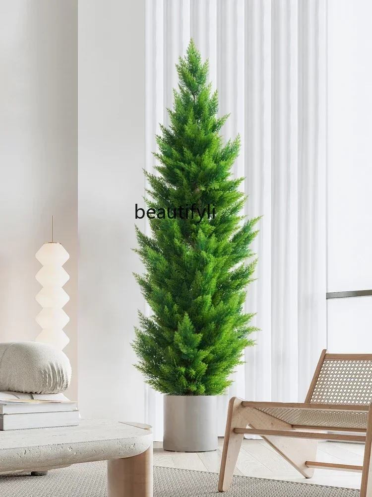 Большая эмуляционная зелень бонсай кипарис классический стиль сосна