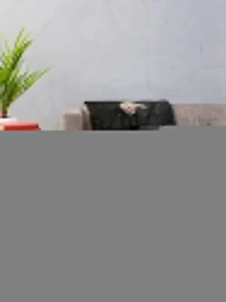 Плед Blutengel для кровати в среду летние пледы