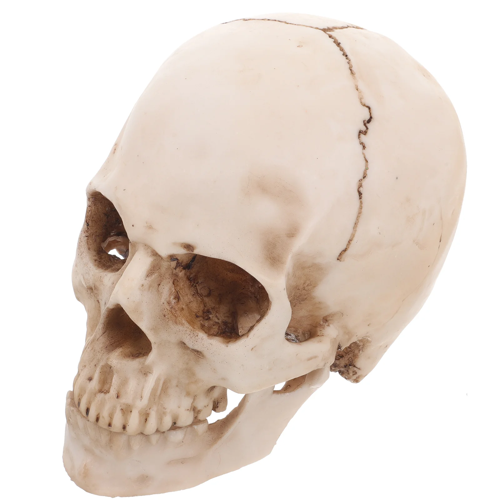 

Имитация смолы в натуральную величину 1:1, модель человека, медицинская анатомическая статуя для обучения, украшение на Хэллоуин